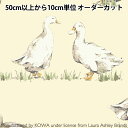 y5z n w[ AVC vg Ducks CG[ LAH22-022-3x yU菤iz