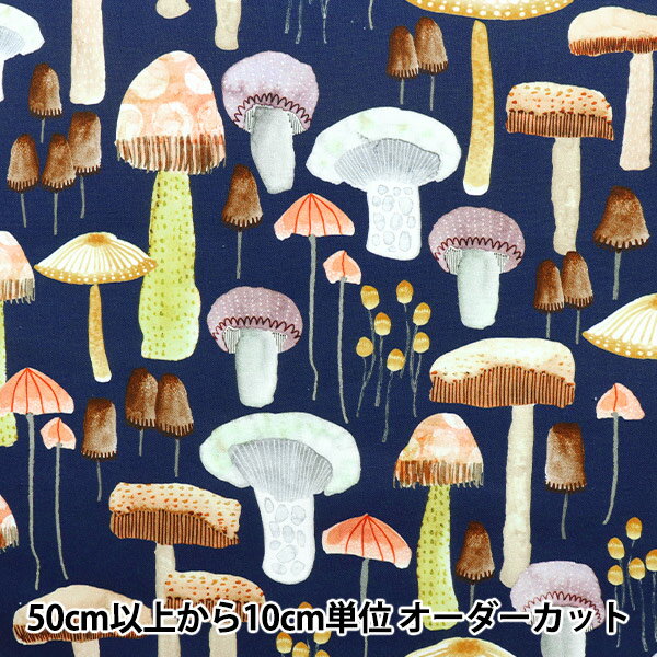 楶㤨֡ڿ5  USAåȥ ޥå롼 DDC9768-NAVYD١פβǤʤ207ߤˤʤޤ