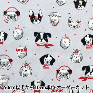 ڿ5  USAåȥ POSH PUPS 졼 CX10627-GRAY