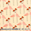 【数量5から】 生地 『オックス BOUFFANTS&BROKEN HEARTS FLAMINGO BBH-2F』