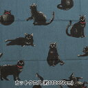 生地 『綿麻キャンバス カットクロス 小生意気黒猫 約110×50cm C-AP51308-3D』