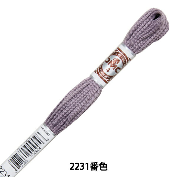 刺しゅう糸 『RETORS (ルトール) 4番刺繍糸 ART.89 2231番色』 DMC ディーエムシー