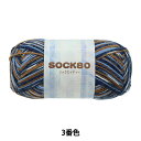 H~ю wSOCK80 (\bNGCeB[) 3ԐFx SKIYARN XL[[