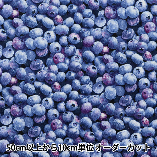 ڿ5  USAåȥ ٥꡼å ֥롼٥꡼ 509-BLUE