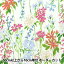 ڿ5  USAåȥ dearSTELLA WILD FLOWERS DCWR2128-WHIT