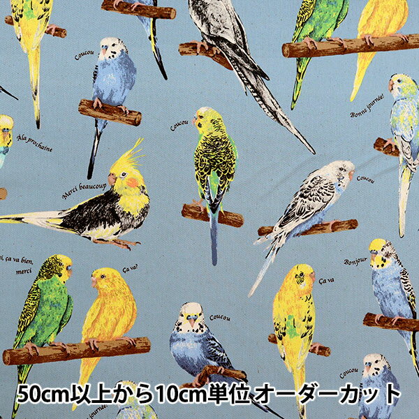 【数量5から】 生地 『ツイルプリント インコ サックス KTS6954-C』 COTTON KOBAYASHI コットンこばや..