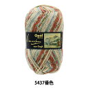 ソックヤーン 毛糸 『Van Gogh (ヴァン・ゴッホ) 4ply 5437番色』 Opal オパール