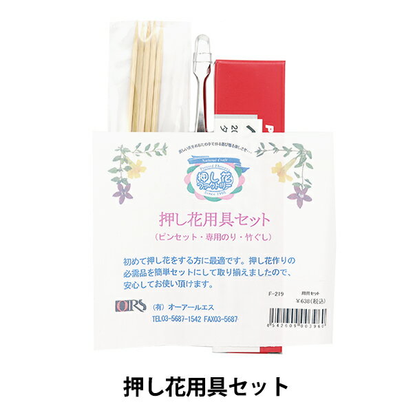 日本ヴォーグ社 植物標本スターターキット トライアル