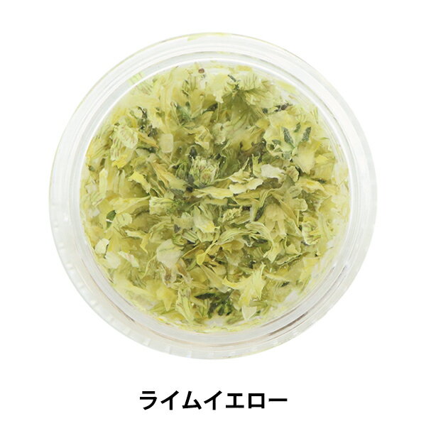 レジン材料 『ドライフラワー 花びら ライムイエロー』