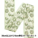 【数量5から】 手芸ブレード 『2024 インド刺繍ブレード グリーン×ホワイト 3530C