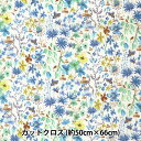 生地 『LIBERTY リバティプリント タナローン マスク向けカットクロス 約50×66cm C-DC28672-WE』 Liberty Japan リバティジャパン