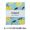 生地 『kippis (キッピス) オックス カットクロス 約50cm みかん Mikan ミントグリーン KPOK-46B』