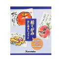 絵てがみセット 『絵てがみはじめましょう2』 Kuretake 呉竹