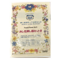 フラワー 『おし花押し器セットB』 押し花ファクトリー