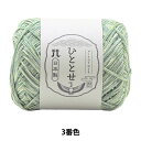 春夏毛糸 『ひととせ 3番色』 Hamanaka ハマナカ