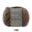 秋冬毛糸 『原毛に近いメリノウール 11 (ブラウン) 番色』 DARUMA ダルマ 横田