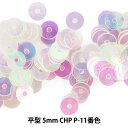 XpR[ w^ 5mm CHP P-11ԐFx