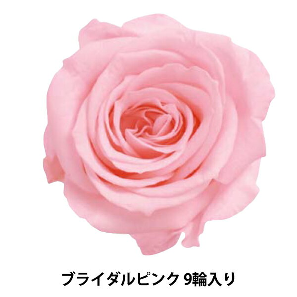 プリザーブドフラワー 『ローズ いずみ ブライダルピンク 9輪入り 03480-101』