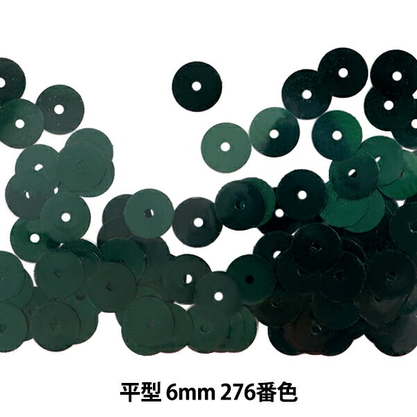 ѥ󥳡 ʿ 6mm CH 276ֿ