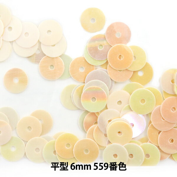 ѥ󥳡 ʿ 6mm CH 559ֿ