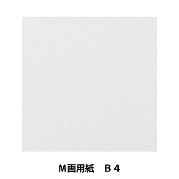 画用紙 『サンフラワーペーパー M画 B4』 muse ミューズ