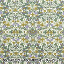 【数量5から】 生地 『リバティ・ファブリックス タナローン アルパインヌーボー 363J4217-24DU』 Liberty Japan リバティジャパン(3)