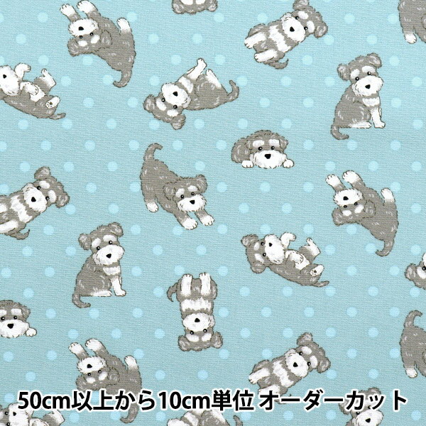 楶㤨֡ڿ5  إå ̥ʥ å AP52903-1C١פβǤʤ135ߤˤʤޤ