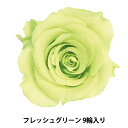 プリザーブドフラワー 『ローズ かのん M フレッシュグリーン 9輪入り 05202-701』(4)