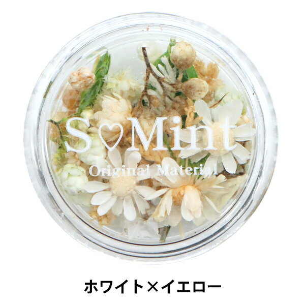 レジン材料 『ドライフラワー フルレット シリーズ2 ホワイト×イエロー』 SMint エスミント
