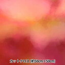 生地 『RIEKA グラデーションパレット 約50×50cm 1132-007』