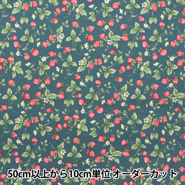 ڿ5  إ֥  ͥӡ KTS7090-E COTTON KOBAYASHI åȥ󤳤Ф䤷 