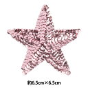 ワッペン 『スパンコールモチーフ M2909/C-31』