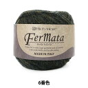 秋冬毛糸 『Fermata (フェルマータ) 6番色』 RichMore リッチモア