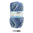 \bN[ ю wNCW[EH[^[Y 4ply 11314ԐFx Opal Ip[