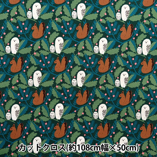  kippis (åԥ) å åȥ 10850cm ʿ ꡼ KPOK-84A