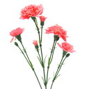 造花 シルクフラワー 『カーネーションスプレー ピンク VE6818』