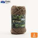 秋冬毛糸 『Ever (エバー) 5 (カーキ) 番色』 Olympus オリムパス