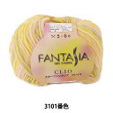 秋冬毛糸 『FANTASIA CLIO (ファンタジア クレイオ) 3101番色』 SKIYARN スキーヤーン