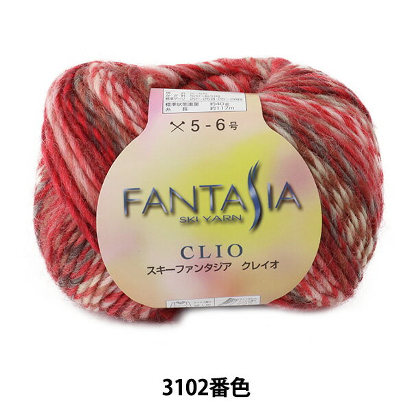 秋冬毛糸 『FANTASIA CLIO (ファンタジア クレイオ) 3102番色』 SKIYARN スキーヤーン