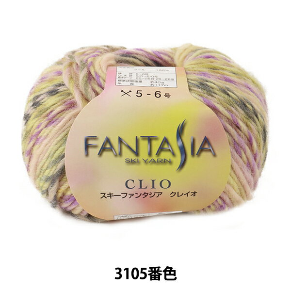 秋冬毛糸 『FANTASIA CLIO (ファンタジア クレイオ) 3105番色』 SKIYARN スキーヤーン