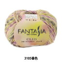 H~ю wFANTASIA CLIO (t@^WA NCI) 3105ԐFx SKIYARN XL[[