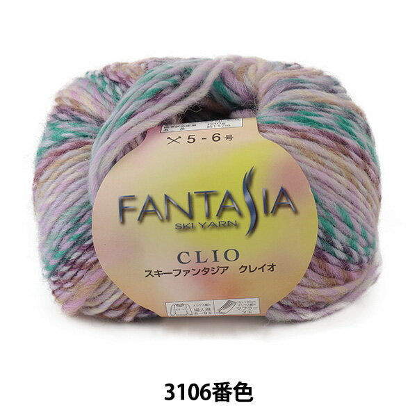 秋冬毛糸 『FANTASIA CLIO (ファンタジア クレイオ) 3106番色』 SKIYARN スキーヤーン