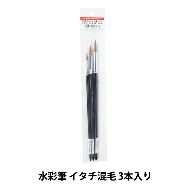 ɮ زɮå6 ɮ ӡ HOLBEIN ۥ٥