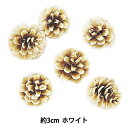 ドライフラワー 『松かさ ホワイト 66177』(4)