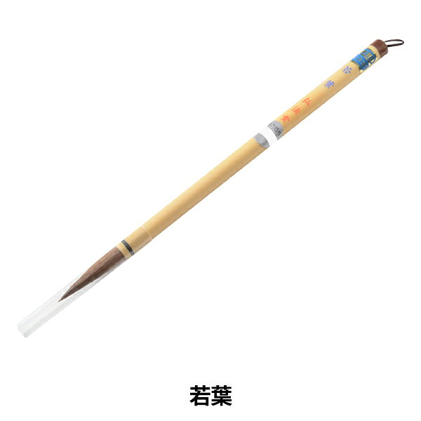書道筆 『若葉』 毛先がよく効き素直な書き味です 羊毛とタヌキ毛を使用した、やや弾力の強い筆です。 お求めやすい価格と使いやすさで人気です。 半紙6字程度書くのに向いています。 [習字 書道 行書 ふで 中筆 羊毛 タヌキ 茶毛] ◆サイズ(約):穂幅8.5mm×穂丈3.8cm ◆素材:羊毛、タヌキ ※モニターによって実物のお色と若干異なる場合がございます。 【手芸用品・毛糸・生地の専門店 ユザワヤ】