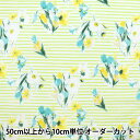 【数量5から】 生地 『シャーティング ボーダーチューリップ柄 黄緑×白 CC823097-2』 YUWA 有輪商店 シャルマンコレクション