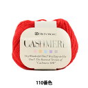 秋冬毛糸 『CASHIMERE (カシミヤ) 110番色』 RichMore リッチモア