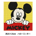 ビーズキット 『DIYキュービックペインティング ディズニー ハローミッキー 25×25cm』