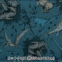 生地 『すごく水をはじく抗菌防臭超撥水ポリエステル カットクロス 約135cm×100cm ダイナソー ブルー C-HP-SC-DI-BL』