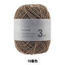 春夏毛糸 『Placord (プラコード) 3ply 10番色 細』 DARUMA ダルマ 横田